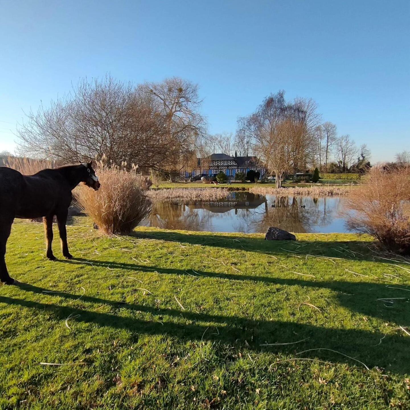 Conteville  Eden Koi Bed & Breakfast 部屋 写真